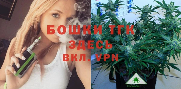 тгк Богородск