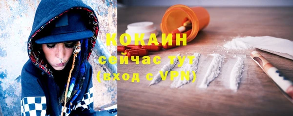 мескалин Богданович